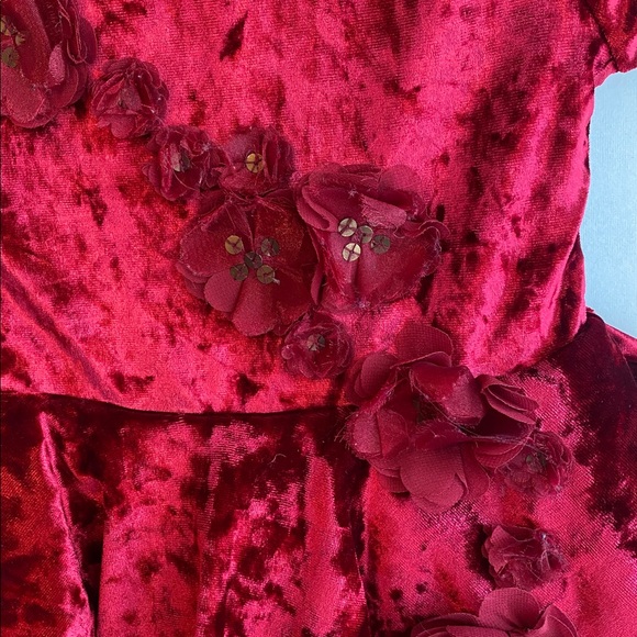 Disney belle Princess burgundy Velvet Dress - Picture 5 of 16